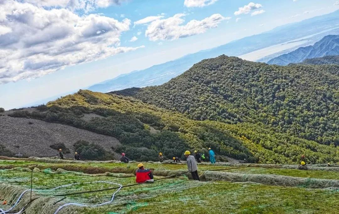 1603325398639825.jpg 1603325398639825.jpg